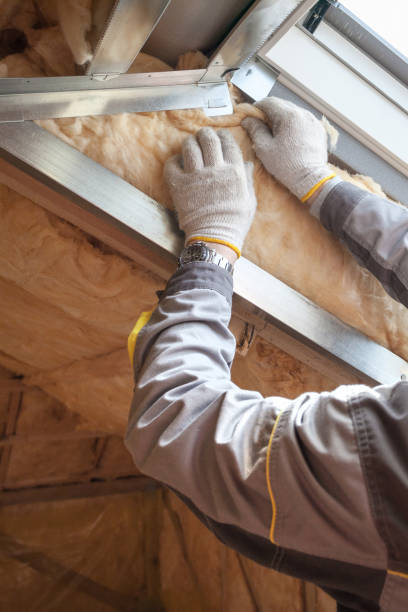 Professional Insulation in Au Sable, MI